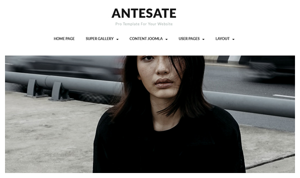 antesate pro joomla theme