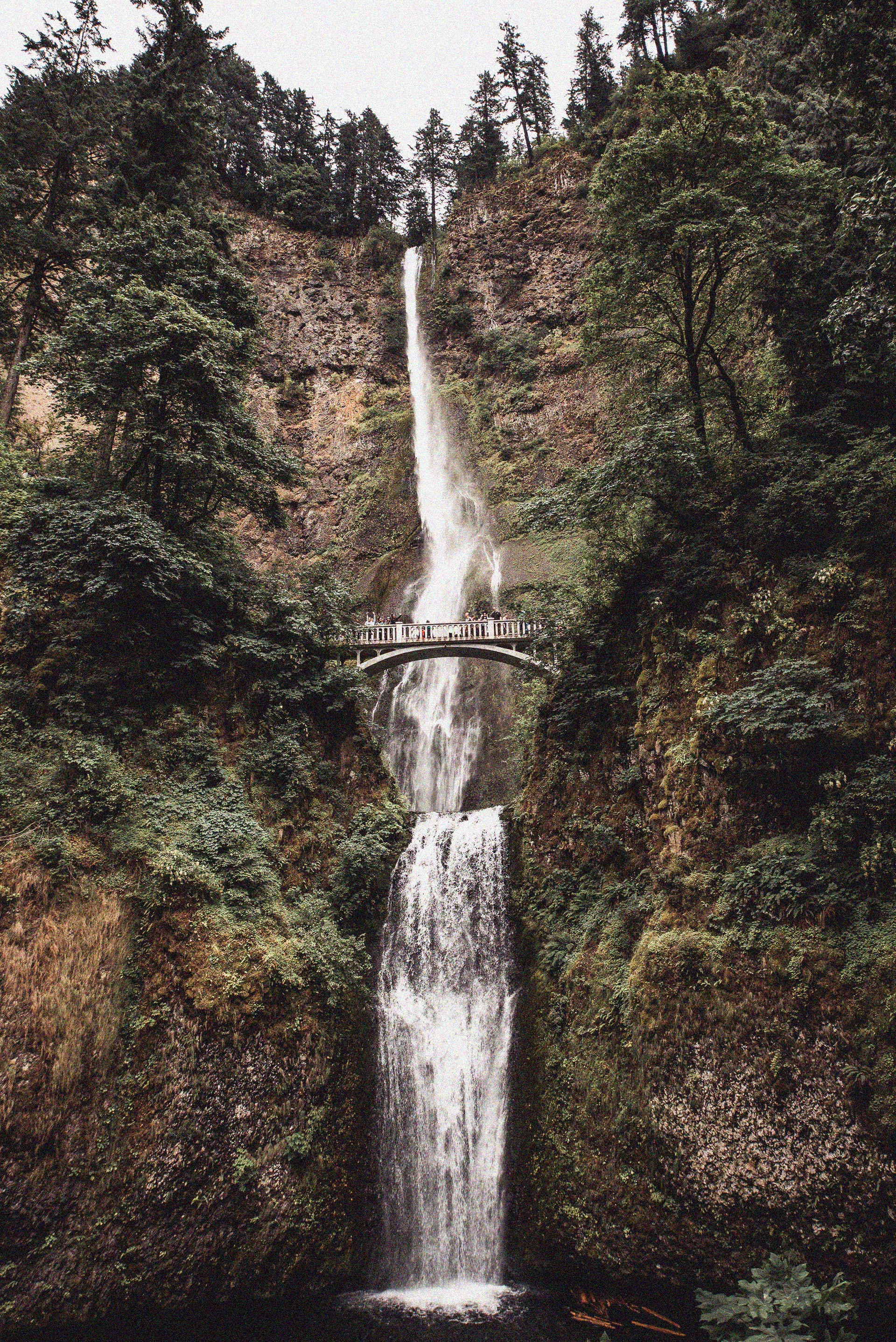 img2