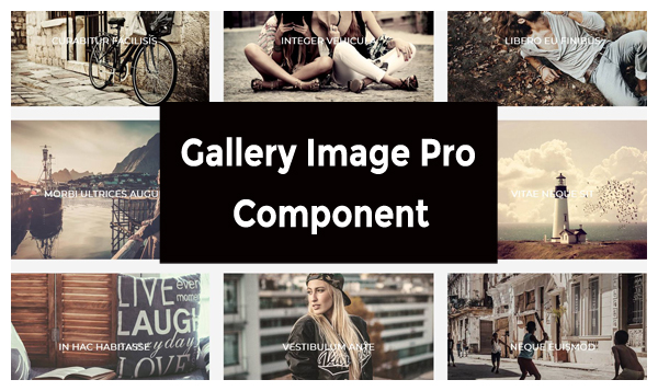 gallery image pro joomla component