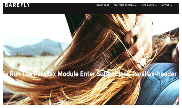 barefly free joomla template