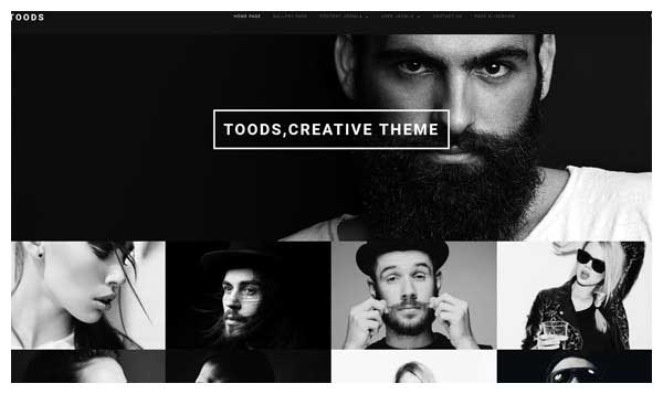 toods vertical joomla template