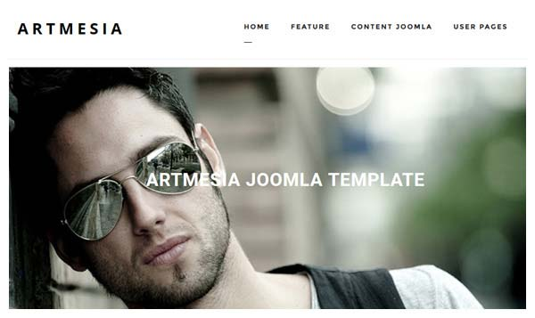 artmesia pro joomla template 